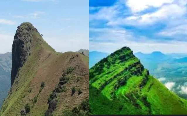 ಚಿಕ್ಕಮಗಳೂರು | ಎತ್ತಿನಭುಜ, ಮುಳ್ಳಯ್ಯನಗಿರಿ ಚಾರಣ ನಿಷೇಧಿಸಿ ಜಿಲ್ಲಾಡಳಿತ ಆದೇಶ