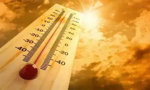 ಉಷ್ಣಾಘಾತ: ದೆಹಲಿಯಲ್ಲಿ 76, ಉತ್ತರ ಪ್ರದೇಶದಲ್ಲಿ 51 ಮಂದಿ ಮೃತ್ಯು