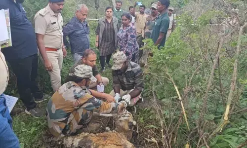 ಹನೂರು | ಗುಂಡಾಲ್ ಅಣೆಕಟ್ಟೆ ಅರಣ್ಯ ಪ್ರದೇಶದಲ್ಲಿ ಹೆಣ್ಣು ಹುಲಿಯ ಕಳೇಬರ ಪತ್ತೆ