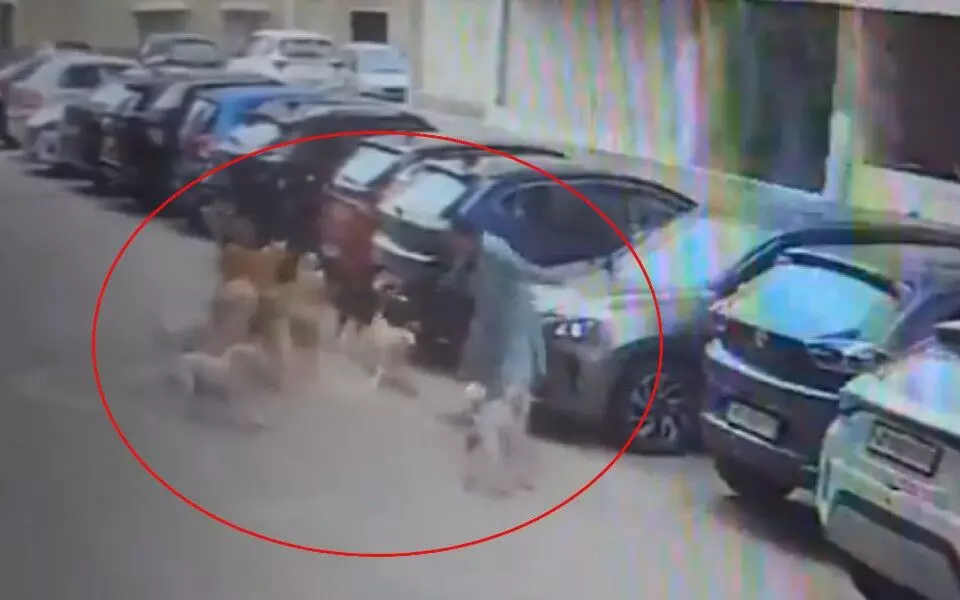 ಹೈದರಾಬಾದ್ | ಬೀದಿ ನಾಯಿಗಳ ಗುಂಪಿನ ದಾಳಿಯಿಂದ ಪಾರಾದ ಮಹಿಳೆ