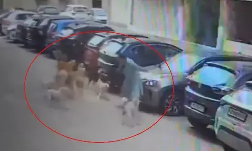 ಹೈದರಾಬಾದ್ | ಬೀದಿ ನಾಯಿಗಳ ಗುಂಪಿನ ದಾಳಿಯಿಂದ ಪಾರಾದ ಮಹಿಳೆ