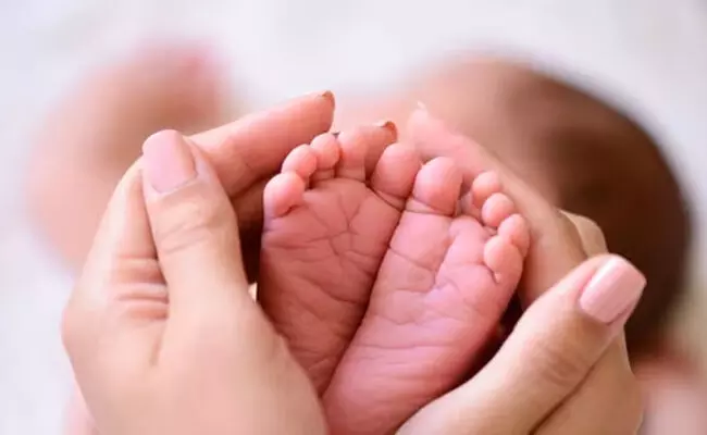 ಬಾಡಿಗೆ ತಾಯ್ತನದ ಮೂಲಕ ಮಗು ಪಡೆಯುವ ಮಹಿಳಾ ಉದ್ಯೋಗಿಗೂ ಆರು ತಿಂಗಳ ರಜೆಗೆ ಅವಕಾಶ ಬಾಡಿಗೆ ತಾಯ್ತನದ ಮೂಲಕ ಮಗು ಪಡೆಯುವ ಮಹಿಳಾ ಉದ್ಯೋಗಿಗೂ ಆರು ತಿಂಗಳ ರಜೆಗೆ ಅವಕಾಶ