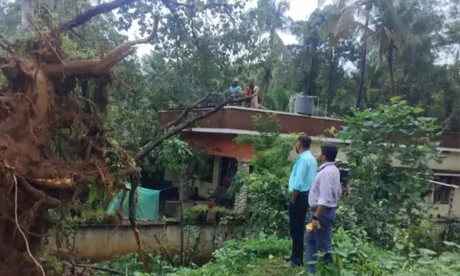 ಕರಾವಳಿಯಲ್ಲಿ ಭಾರಿ ಮಳೆ | ಬಂಟ್ವಾಳ ತಾಲೂಕಿನ ಹಲವೆಡೆ ಆಸ್ತಿ ಹಾನಿ