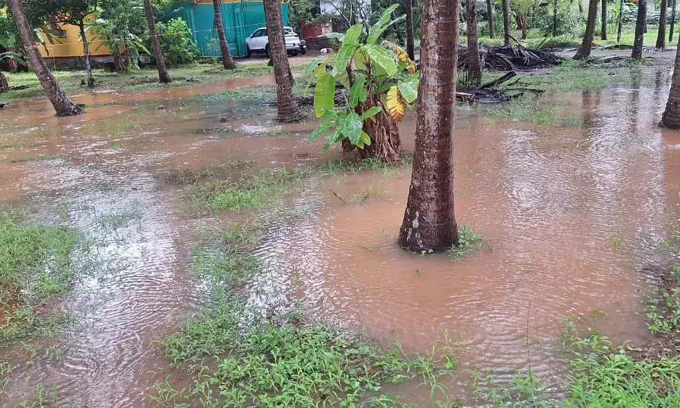 ಧಾರಕಾರ ಮಳೆ: ಉಡುಪಿ ನಗರದ ತಗ್ಗು ಪ್ರದೇಶಗಳು ಜಲಾವೃತ