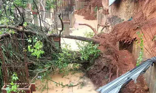 ಅತ್ತಾವರ: ಮಳೆಗೆ ಧರೆಗುರುಳಿದ ಬೃಹತ್ ಮರ