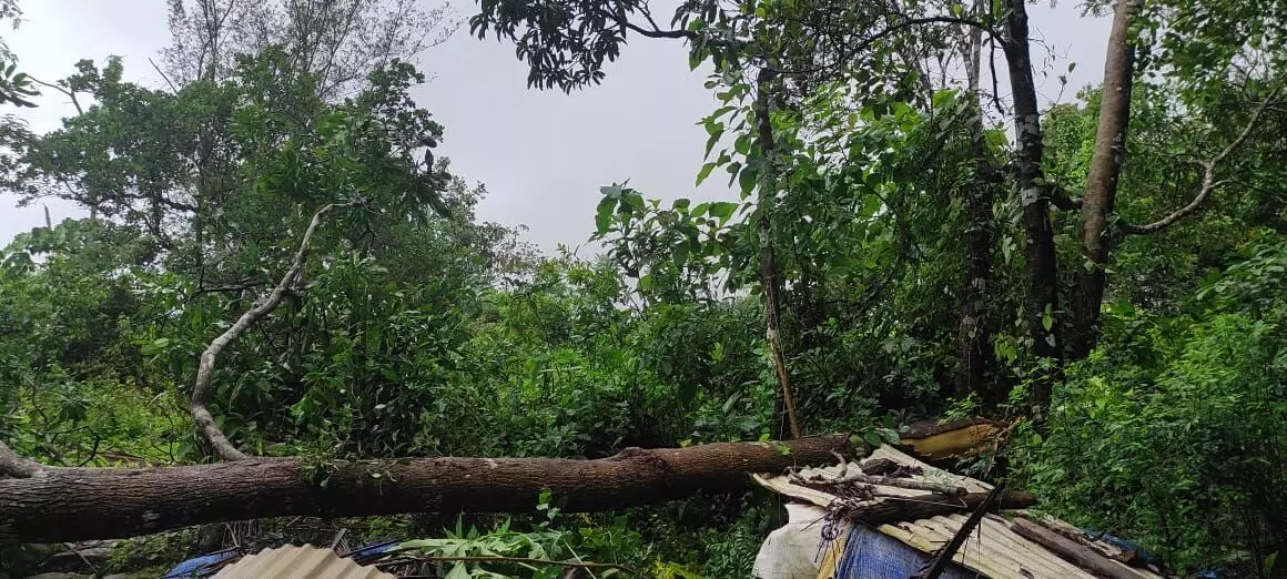 ಉಡುಪಿ: 24ಗಂಟೆಗಳಲ್ಲಿ 11.95 ಸೆ.ಮೀ. ಮಳೆ, 20 ಮನೆ-ಕೊಟ್ಟಿಗೆಗೆ ಹಾನಿ ಉಡುಪಿ: 24ಗಂಟೆಗಳಲ್ಲಿ 11.95 ಸೆ.ಮೀ. ಮಳೆ, 20 ಮನೆ-ಕೊಟ್ಟಿಗೆಗೆ ಹಾನಿ