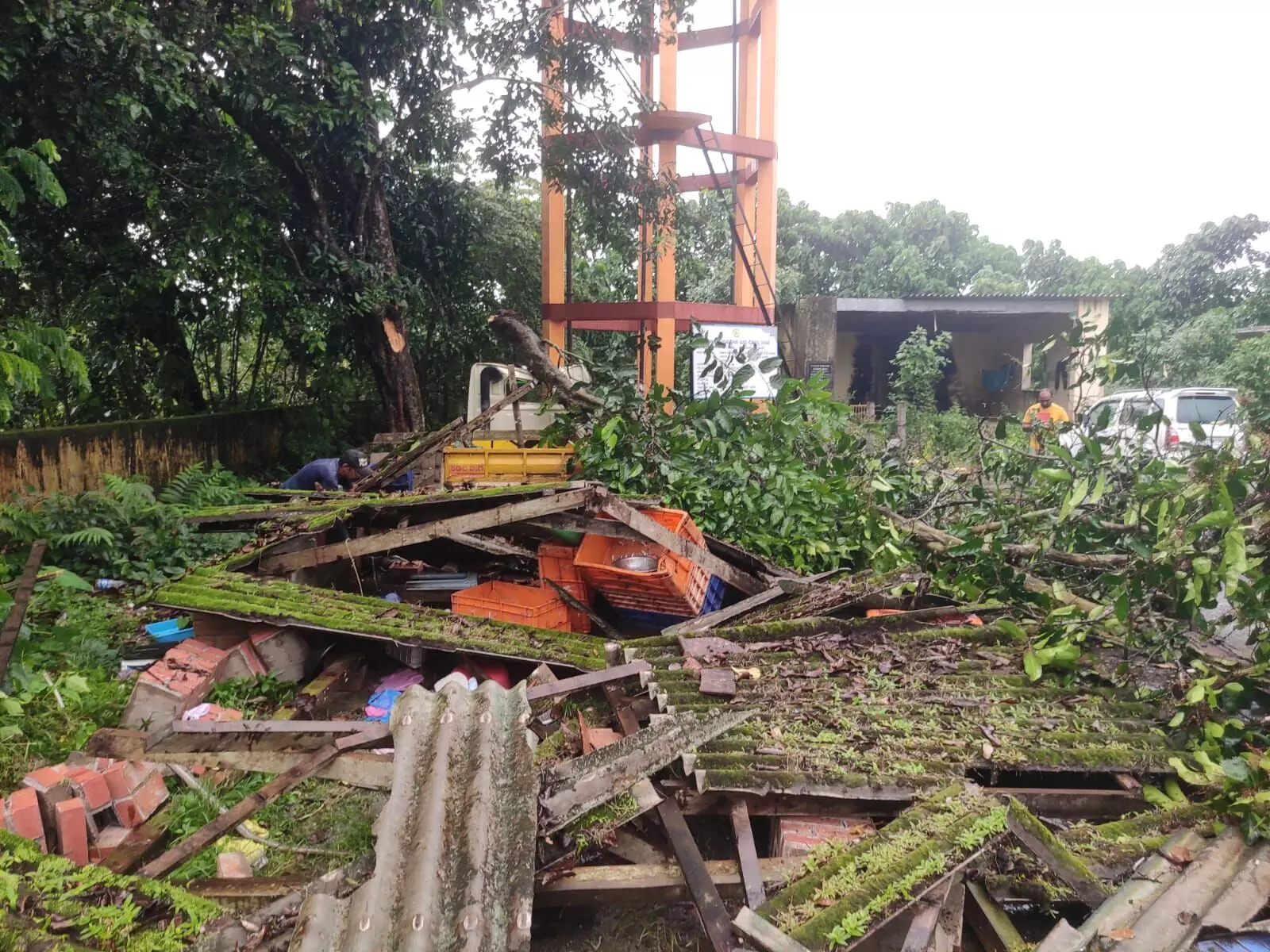 ಮೀನು ಮಾರಾಟ ಶೆಡ್ ಮೇಲೆ ಮರದ ಗೆಲ್ಲು ಬಿದ್ದು ಇಬ್ಬರಿಗೆ ಗಂಭೀರ ಗಾಯ ಮೀನು ಮಾರಾಟ ಶೆಡ್ ಮೇಲೆ ಮರದ ಗೆಲ್ಲು ಬಿದ್ದು ಇಬ್ಬರಿಗೆ ಗಂಭೀರ ಗಾಯ