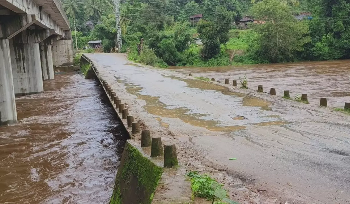 ಚಿಕ್ಕಮಗಳೂರು | ತುಂಬಿ ಹರಿಯುತ್ತಿರುವ ಭದ್ರಾ ನದಿ : ಹೆಬ್ಬಾಳೆ ಸೇತುವೆ ಮುಳುಗಡೆ ಭೀತಿ