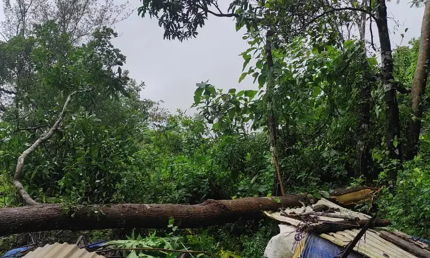 ಉಡುಪಿ: 24ಗಂಟೆಗಳಲ್ಲಿ 11.95 ಸೆ.ಮೀ. ಮಳೆ, 20 ಮನೆ-ಕೊಟ್ಟಿಗೆಗೆ ಹಾನಿ