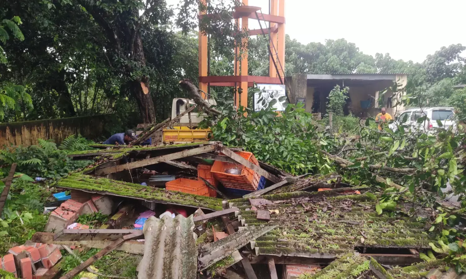 ಮೀನು ಮಾರಾಟ ಶೆಡ್ ಮೇಲೆ ಮರದ ಗೆಲ್ಲು ಬಿದ್ದು ಇಬ್ಬರಿಗೆ ಗಂಭೀರ ಗಾಯ