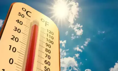 ಉಷ್ಣ ಮಾರುತದ ದಾಳಿಗೆ ತತ್ತರಿಸಿದವರಲ್ಲಿ ಭಾರತೀಯರೇ ಅಧಿಕ ; ಅಧ್ಯಯನ ವರದಿ