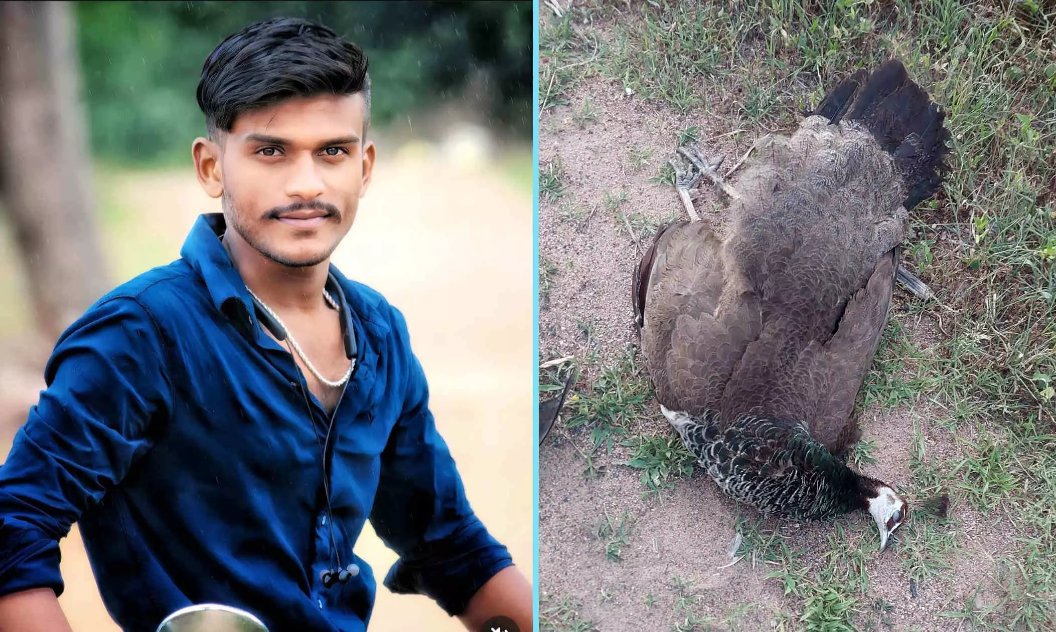 ಕೊಳ್ಳೇಗಾಲ | ಬೈಕಿಗೆ ಅಡ್ಡವಾಗಿ ನವಿಲು ನುಗ್ಗಿದ್ದರಿಂದ ಅಪಘಾತ: ಬೈಕ್ ಸವಾರ ಮೃತ್ಯು