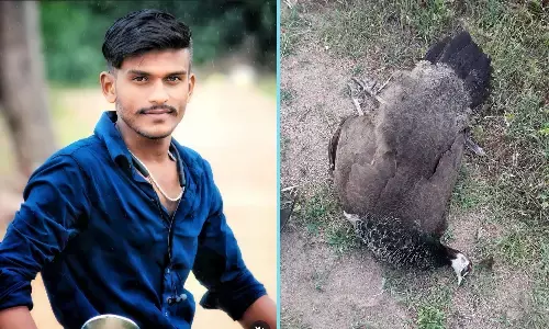 ಕೊಳ್ಳೇಗಾಲ | ಬೈಕಿಗೆ ಅಡ್ಡವಾಗಿ ನವಿಲು ನುಗ್ಗಿದ್ದರಿಂದ ಅಪಘಾತ: ಬೈಕ್ ಸವಾರ ಮೃತ್ಯು