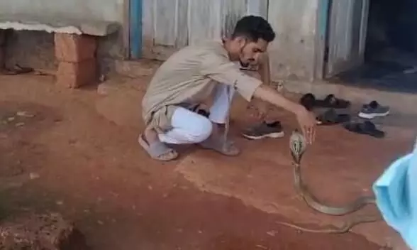 ಭಟ್ಕಳ: ನ್ಯಾಯಬೆಲೆ ಅಂಗಡಿಯಲ್ಲಿ ಯುವಕನಿಗೆ ಹಾವು ಕಡಿತ; ಪ್ರಾಣಾಪಾಯದಿಂದ ಪಾರು