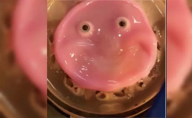 ನಗುವ ಮಾನವರೂಪಿ ರೊಬಟ್ ಸೃಷ್ಟಿಸಿದ ವಿಜ್ಞಾನಿಗಳು