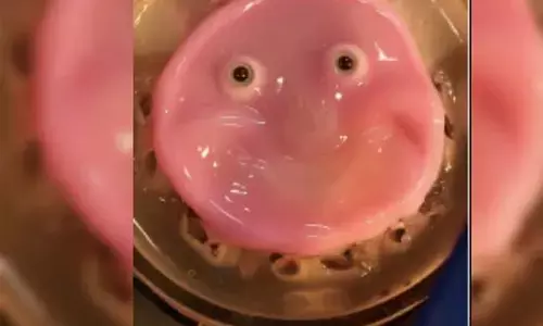 ನಗುವ ಮಾನವರೂಪಿ ರೊಬಟ್ ಸೃಷ್ಟಿಸಿದ ವಿಜ್ಞಾನಿಗಳು