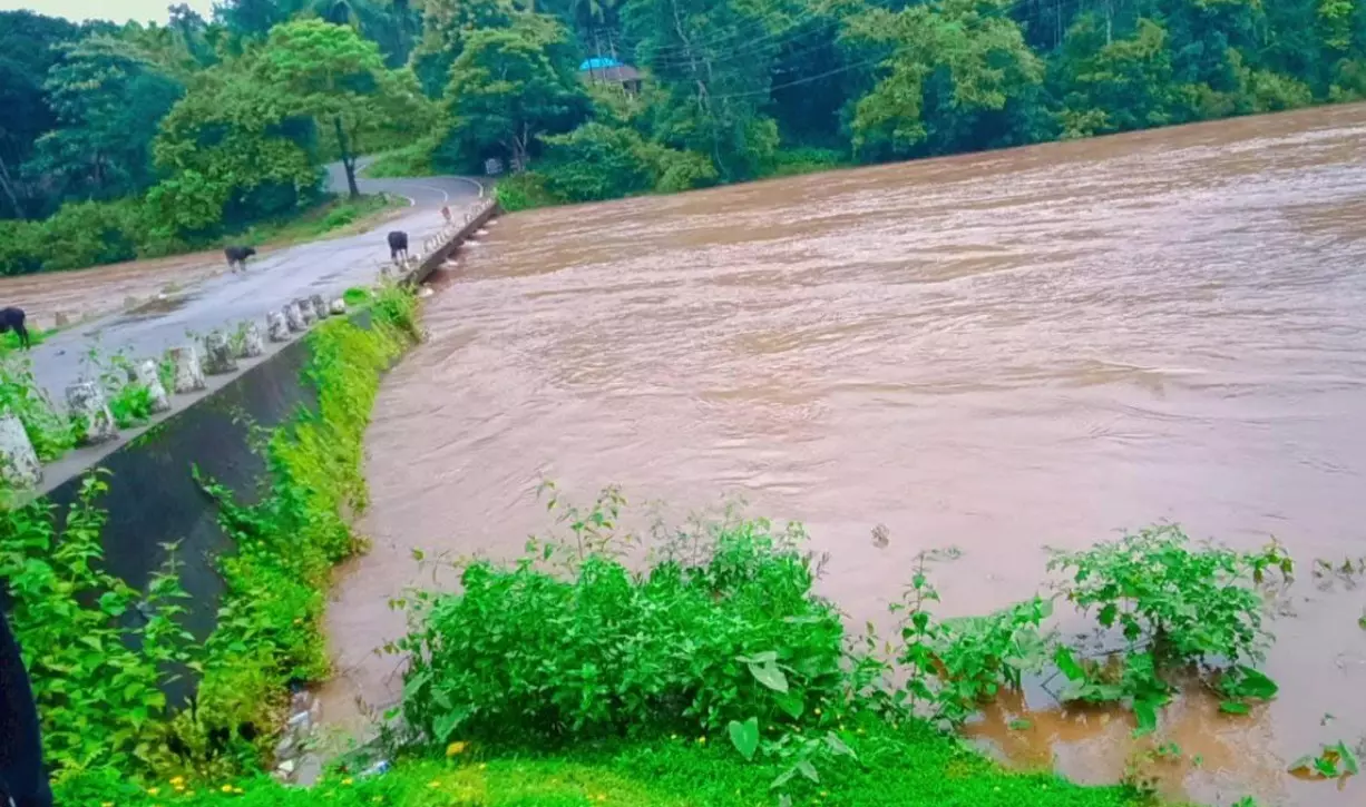 ಕಾಫಿನಾಡು ಚಿಕ್ಕಮಗಳೂರಿನಲ್ಲಿ ಮುಂದುವರಿದ ಮಳೆ ಅಬ್ಬರ : ಮಲೆನಾಡು ಭಾಗದಲ್ಲಿ ಜನಜೀವನ ಅಸ್ತವ್ಯಸ್ತ ಕಾಫಿನಾಡು ಚಿಕ್ಕಮಗಳೂರಿನಲ್ಲಿ ಮುಂದುವರಿದ ಮಳೆ ಅಬ್ಬರ : ಮಲೆನಾಡು ಭಾಗದಲ್ಲಿ ಜನಜೀವನ ಅಸ್ತವ್ಯಸ್ತ