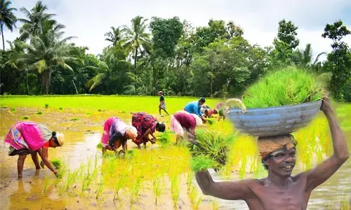 ಮುಂಗಾರು ಮಳೆ: ಚುರುಕುಗೊಂಡ ಕೃಷಿ ಚಟುವಟಿಕೆ