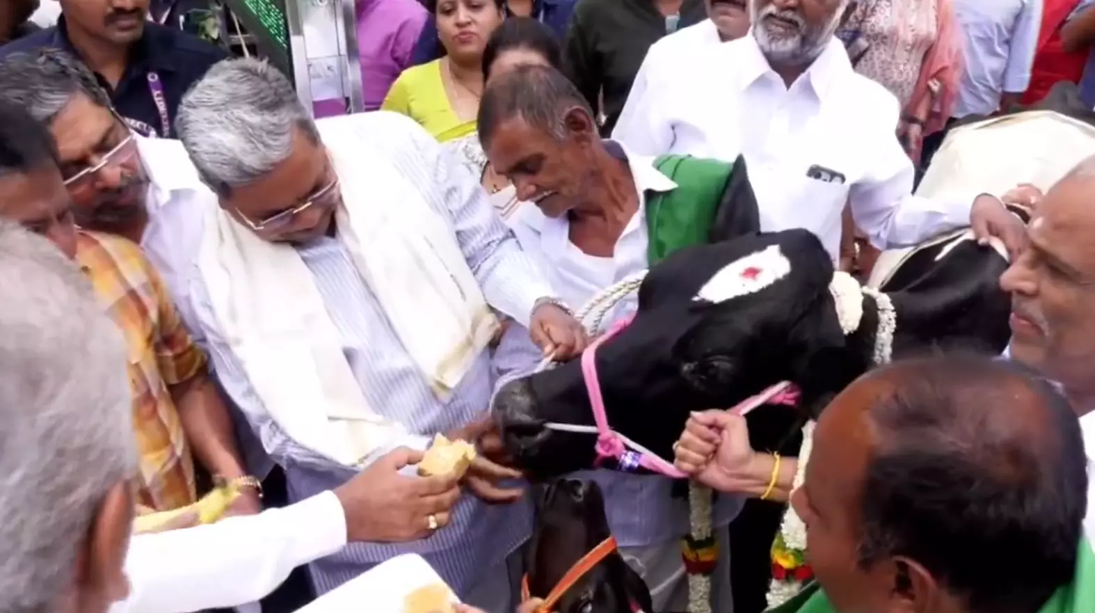 ಪ್ರತಿದಿನ 1 ಕೋಟಿ ಲೀ.ಹಾಲು ಉತ್ಪಾದನೆಯು KMF ಇತಿಹಾಸದಲ್ಲಿಯೇ ಮೈಲಿಗಲ್ಲು : ಸಿಎಂ ಸಿದ್ದರಾಮಯ್ಯ ಪ್ರತಿದಿನ 1 ಕೋಟಿ ಲೀ.ಹಾಲು ಉತ್ಪಾದನೆಯು KMF ಇತಿಹಾಸದಲ್ಲಿಯೇ ಮೈಲಿಗಲ್ಲು : ಸಿಎಂ ಸಿದ್ದರಾಮಯ್ಯ