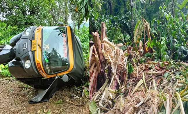 ಕೊಡಗಿನ ವಿವಿಧೆಡೆ ಕಾಡಾನೆ ದಾಳಿ : ಆಟೋರಿಕ್ಷಾ ಜಖಂ, ತೋಟಗಳಿಗೆ ಹಾನಿ