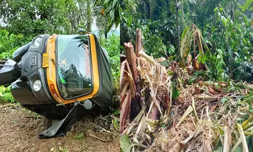 ಕೊಡಗಿನ ವಿವಿಧೆಡೆ ಕಾಡಾನೆ ದಾಳಿ : ಆಟೋರಿಕ್ಷಾ ಜಖಂ, ತೋಟಗಳಿಗೆ ಹಾನಿ