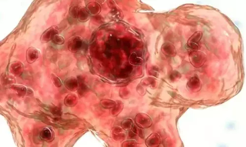 ಅತ್ಯಂತ ಅಪರೂಪದ ಮೆದುಳು ತಿನ್ನುವ ಅಮೀಬಾ ಸೋಂಕಿಗೆ ಕೇರಳದ 12 ವರ್ಷದ ಬಾಲಕ ಬಲಿ