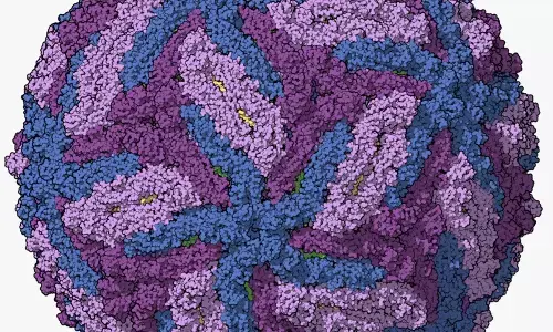 ಶಿವಮೊಗ್ಗ: ಝೀಕಾ ವೈರಸ್ ಸೋಂಕಿಗೆ ಚಿಕಿತ್ಸೆ ಪಡೆದು ಮನೆಗೆ ಮರಳಿದ್ದ ವೃದ್ಧ ಮೃತ್ಯು