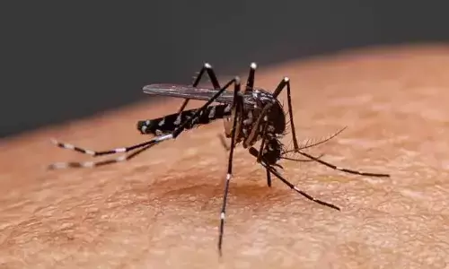 ರಾಜ್ಯದಲ್ಲಿ ಹೊಸದಾಗಿ 197 ಡೆಂಗಿ ಪ್ರಕರಣ ಪತ್ತೆ: ಓರ್ವ ಬಲಿ