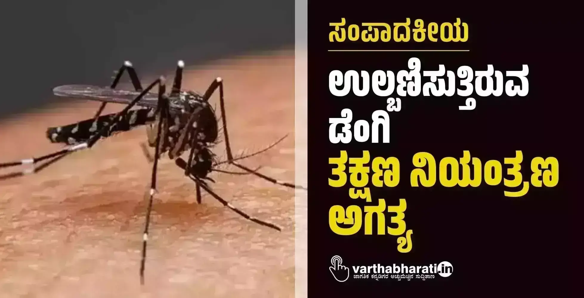 ಸಂಪಾದಕೀಯ | ಉಲ್ಬಣಿಸುತ್ತಿರುವ ಡೆಂಗಿ: ತಕ್ಷಣ ನಿಯಂತ್ರಣ ಅಗತ್ಯ