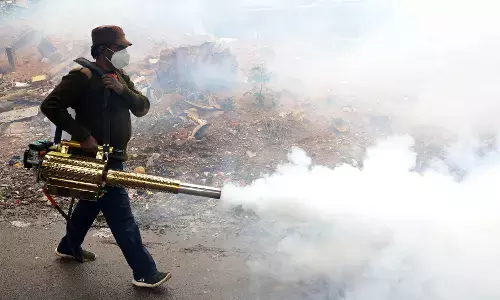 ಡೆಂಗಿ ತಡೆಗೆ ಟಾಸ್ಕ್ ಫೋರ್ಸ್ ರಚನೆ: ಸಿಎಂ ಸಿದ್ದರಾಮಯ್ಯ