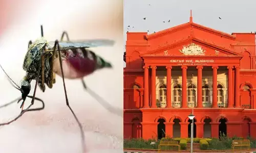 ಡೆಂಗ್ಯೂ ಪ್ರಕರಣಗಳ ಹೆಚ್ವಳ | ಸ್ವಯಂ ಪ್ರೇರಿತ ಸಾರ್ವಜನಿಕ ಹಿತಾಸಕ್ತಿ ಅರ್ಜಿ ದಾಖಲಿಸಿಕೊಂಡ ಹೈಕೋರ್ಟ್