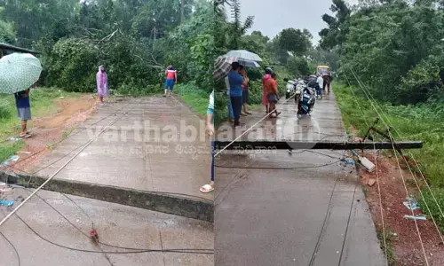 ಕುಂದಾಪುರ: ಧರೆಗುರುಳಿದ ಬೃಹತ್ ಮರ, ವಿದ್ಯುತ್ ಕಂಬಗಳು; ಅಪಾಯದಿಂದ ಪಾರಾದ ಶಾಲಾ ಬಸ್ !