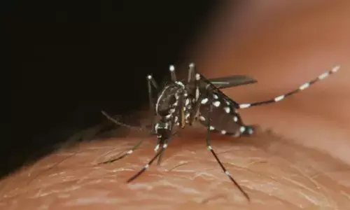 ರಾಜ್ಯಾದ್ಯಂತ 424 ಮಂದಿಗೆ ಡೆಂಗ್ಯೂ ದೃಢ, 119 ಮಂದಿ ಆಸ್ಪತ್ರೆಗೆ ದಾಖಲು