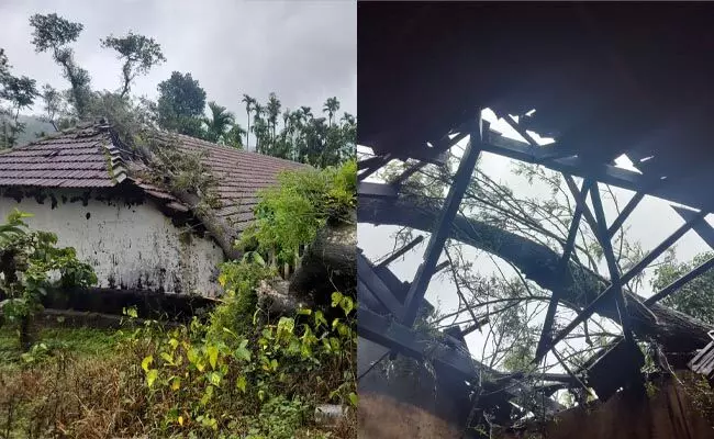 ಚಿಕ್ಕಮಗಳೂರು: ಗಾಳಿ ಮಳೆಗೆ ಮನೆಗಳ ಮೇಲೆ ಬಿದ್ದ ಮರ; ಮೂವರಿಗೆ ಗಾಯ ಚಿಕ್ಕಮಗಳೂರು: ಗಾಳಿ ಮಳೆಗೆ ಮನೆಗಳ ಮೇಲೆ ಬಿದ್ದ ಮರ; ಮೂವರಿಗೆ ಗಾಯ