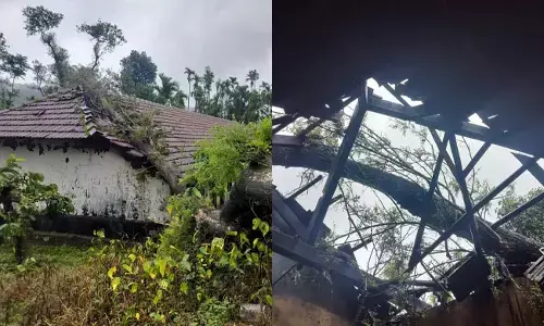 ಚಿಕ್ಕಮಗಳೂರು:  ಗಾಳಿ ಮಳೆಗೆ ಮನೆಗಳ ಮೇಲೆ ಬಿದ್ದ ಮರ; ಮೂವರಿಗೆ ಗಾಯ