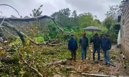 ಕೊಡಗಿನಲ್ಲಿ ಮುಂದುವರಿದ ಗಾಳಿ ಸಹಿತ ಮಳೆ: ಸಾರ್ವಜನಿಕ ಆಸ್ತಿಪಾಸ್ತಿಗೆ ಅಪಾರ ಹಾನಿ