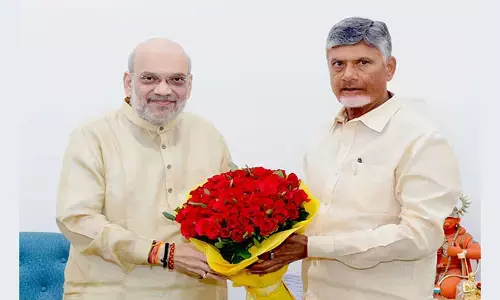 ದಿಲ್ಲಿಯಲ್ಲಿ ಚಂದ್ರಬಾಬು ನಾಯ್ಡು, ಅಮಿತ್ ಶಾ ಜೊತೆ ಮಾತುಕತೆ