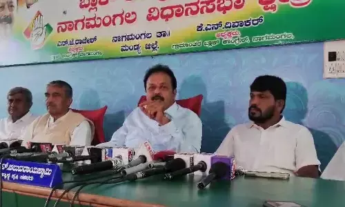 ಕೆಆರ್‌ಎಸ್‍ನಿಂದ ಮುಂಗಾರು ಬೆಳೆಗೆ ನೀರುಹರಿಸಲಾಗುವುದು : ಸಚಿವ ಚಲುವರಾಯಸ್ವಾಮಿ