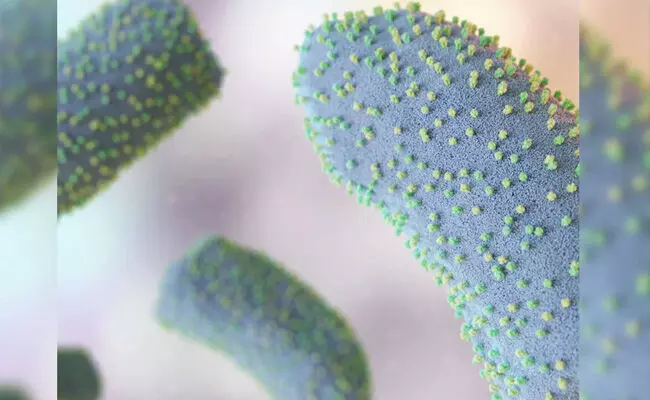 ಗುಜರಾತಿನಲ್ಲಿ ಚಂಡೀಪುರ ವೈರಸ್‌ನಿಂದ ಮೊದಲ ಸಾವನ್ನು ದೃಢಪಡಿಸಿದ ಎನ್‌ಐವಿ