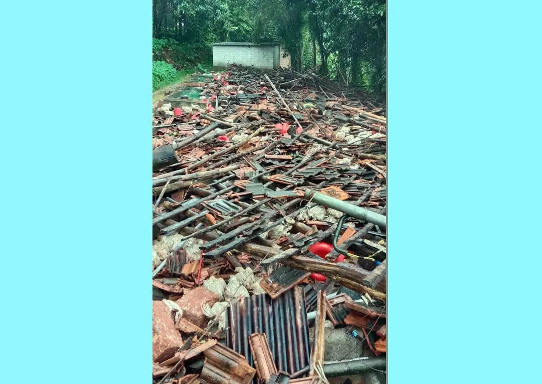 ವಿಟ್ಲ | ಕೋಳಿ ಸಾಕಣೆ ಶೆಡ್ ಧರಾಶಾಯಿ: ಒಂದೂವರೆ ಸಾವಿರ ಕೋಳಿ ಸಾವು ವಿಟ್ಲ | ಕೋಳಿ ಸಾಕಣೆ ಶೆಡ್ ಧರಾಶಾಯಿ: ಒಂದೂವರೆ ಸಾವಿರ ಕೋಳಿ ಸಾವು