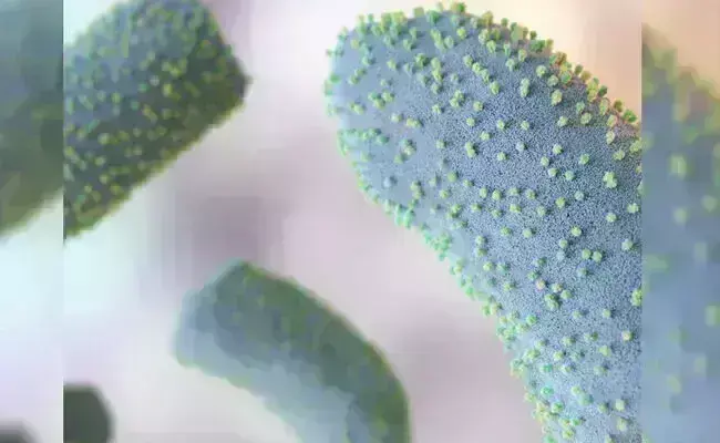 ಗುಜರಾತ್ |ಶಂಕಿತ ಚಾಂದಿಪುರ ವೈರಸ್ ; ಸೋಂಕಿನಿಂದ ಮೃತಪಟ್ಟವರ ಸಂಖ್ಯೆ 20ಕ್ಕೆ ಏರಿಕೆ