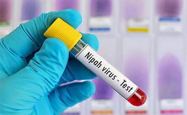 ಮಲಪ್ಪುರಂನಲ್ಲಿ ನಿಫಾ ಸೋಂಕು ದೃಢ : ಆರೋಗ್ಯ ಸಚಿವೆ ವೀಣಾ ಜಾರ್ಜ್