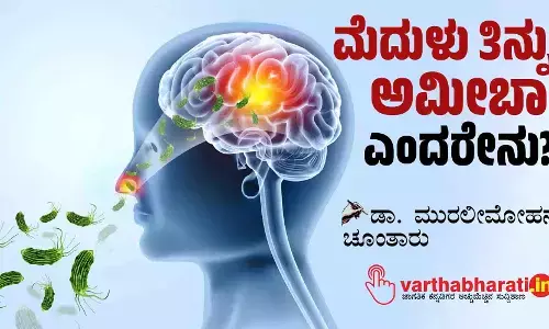 ‘ಮೆದುಳು ತಿನ್ನುವ ಅಮೀಬಾ’ ಎಂದರೇನು?