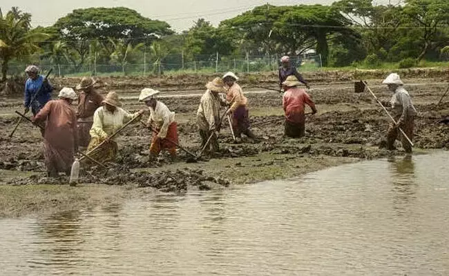 ಮಹಾರಾಷ್ಟ್ರ | ಈ ವರ್ಷ 1,267 ರೈತರ ಆತ್ಮಹತ್ಯೆ ಮಹಾರಾಷ್ಟ್ರ | ಈ ವರ್ಷ 1,267 ರೈತರ ಆತ್ಮಹತ್ಯೆ