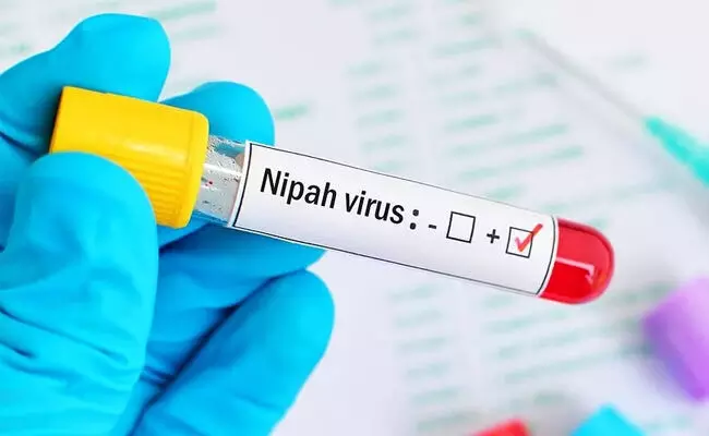 ಕೇರಳದಲ್ಲಿನ ನಿಫಾ ವೈರಸ್ | ತನಿಖೆಯ ನೆರವಿಗೆ ಕೇಂದ್ರ ತಂಡ