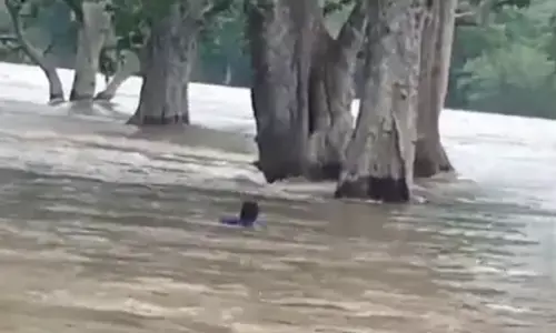 ಕಾವೇರಿ ನದಿಯಲ್ಲಿ ಕೊಚ್ಚಿಹೋದ ವ್ಯಕ್ತಿ; ವಿಡೀಯೊ ವೈರಲ್