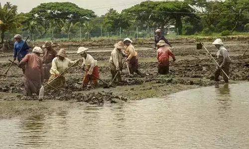 ಮಹಾರಾಷ್ಟ್ರ | ಈ ವರ್ಷ 1,267 ರೈತರ ಆತ್ಮಹತ್ಯೆ