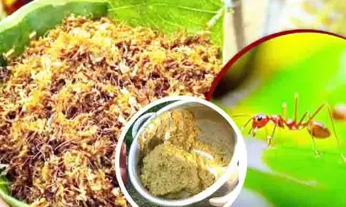 ಮಲೆನಾಡಿನ ಸಾಂಪ್ರದಾಯಿಕ ಆಹಾರ ಚೆಗಳಿ ಚಟ್ನಿಗೆ ಭಾರೀ ಬೇಡಿಕೆ