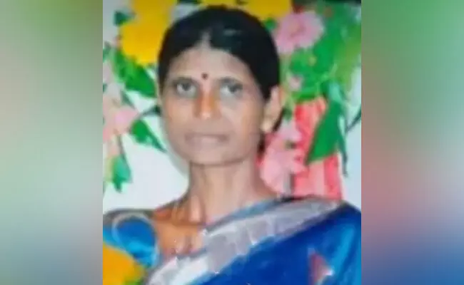 ಚಿಕ್ಕಮಗಳೂರು: ನದಿಗೆ ಬಿದ್ದು ಮಹಿಳೆ ಮೃತ್ಯು