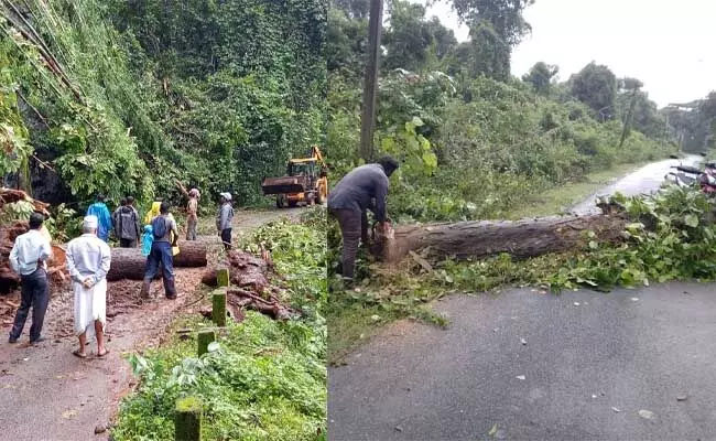 ಕೊಡಗು: ಗಾಳಿಯ ರಭಸಕ್ಕೆ ಧರೆಗುರುಳಿದ ಬರೆ, ಮರಗಳು